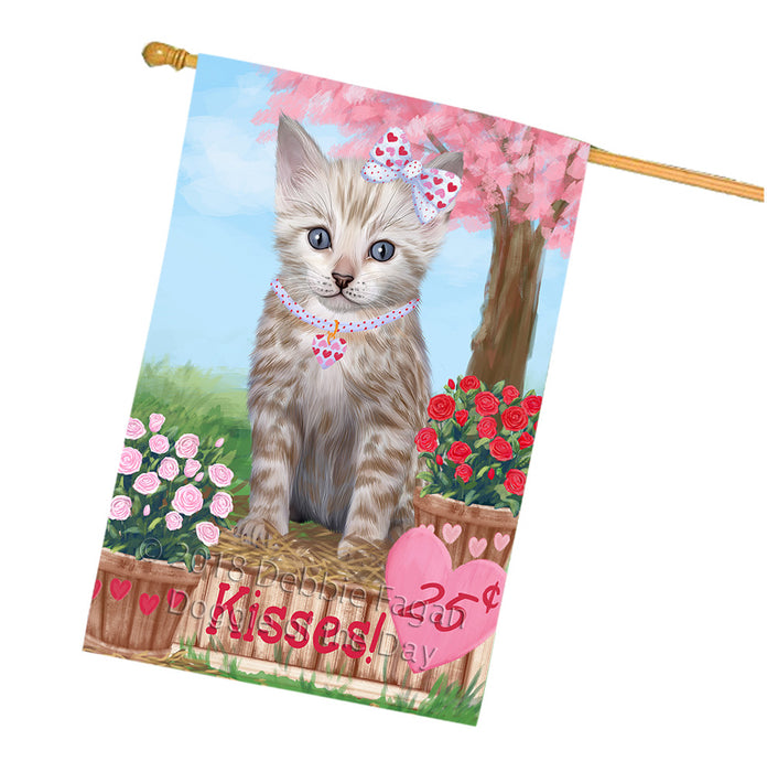 Rosie 25 Cent Kisses Bengal Cat House Flag FLG56499