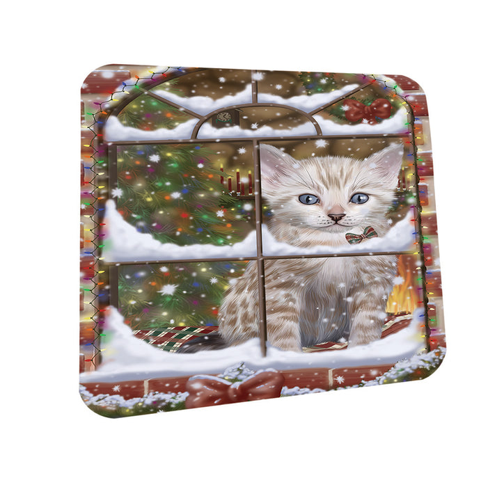 Please Come Home For Christmas Bengal Cat Sitting In Window Coasters Set of 4 CST53574