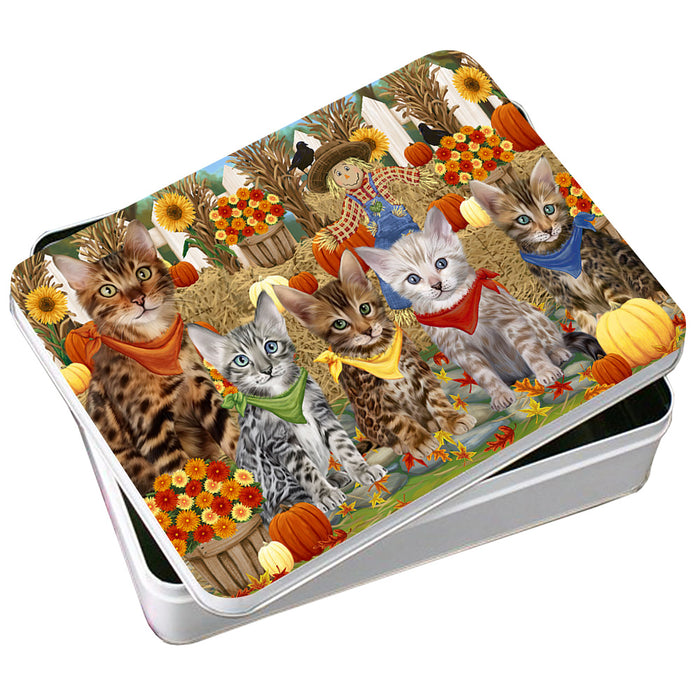 Harvest Time Festival Day Bengal Cats Photo Storage Tin PITN52364
