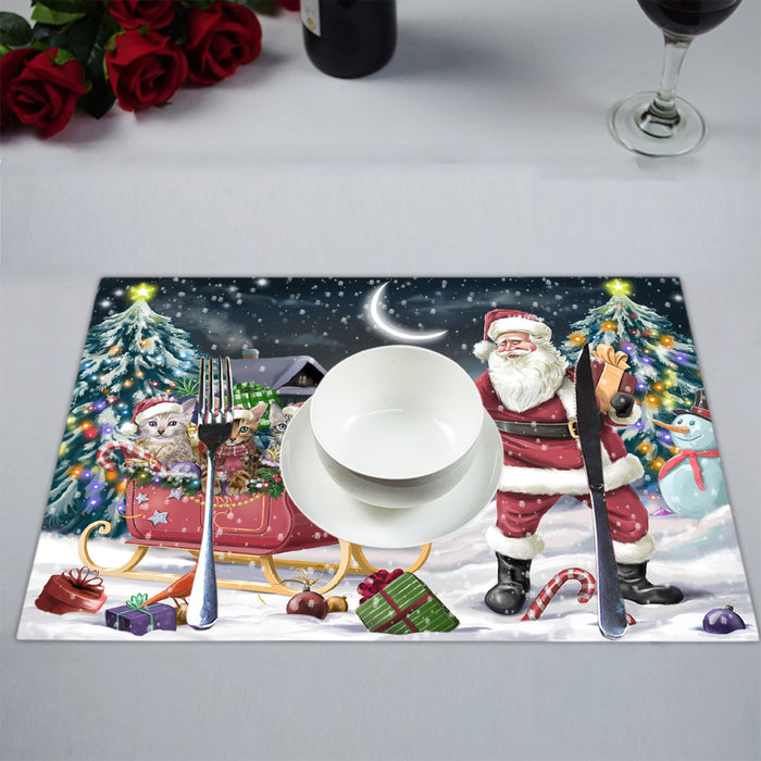Santa Sled Dogs Christmas Happy Holidays Bengal Cats Placemat