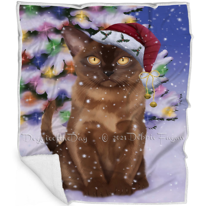 Winterland Wonderland Bermese Sable Cat In Christmas Holiday Scenic Background Blanket BLNKT120585