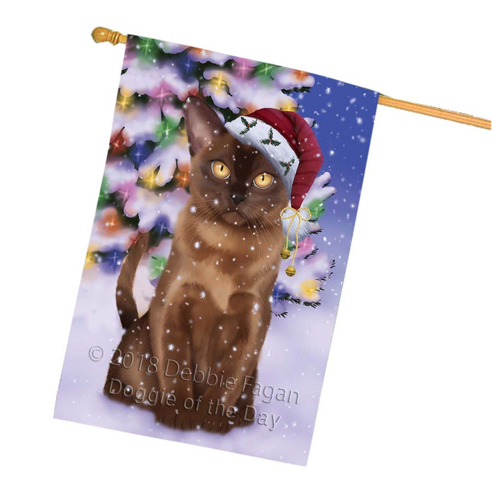 Winterland Wonderland Bermese Sable Cat In Christmas Holiday Scenic Background House Flag FLG56114