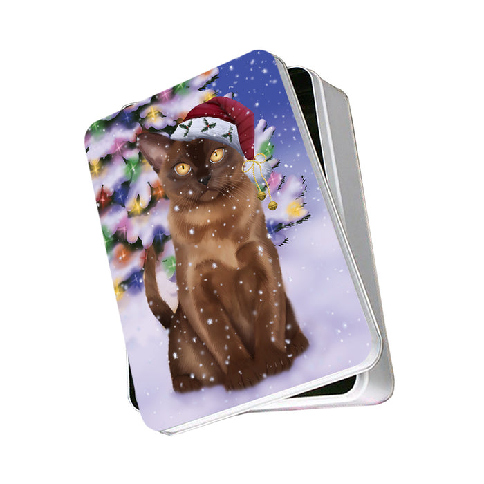 Winterland Wonderland Bermese Sable Cat In Christmas Holiday Scenic Background Photo Storage Tin PITN55628