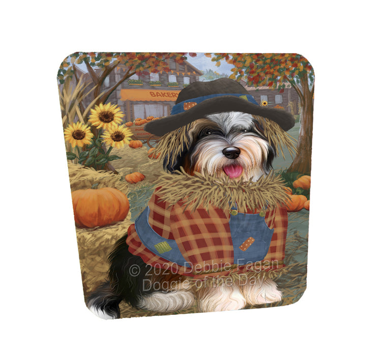 Halloween 'Round Town Bernedoodle Dogs Coasters Set of 4 CSTA57837