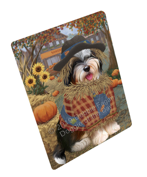 Halloween 'Round Town And Fall Pumpkin Scarecrow Both Bernedoodle Dogs Large Refrigerator / Dishwasher Magnet RMAG104622