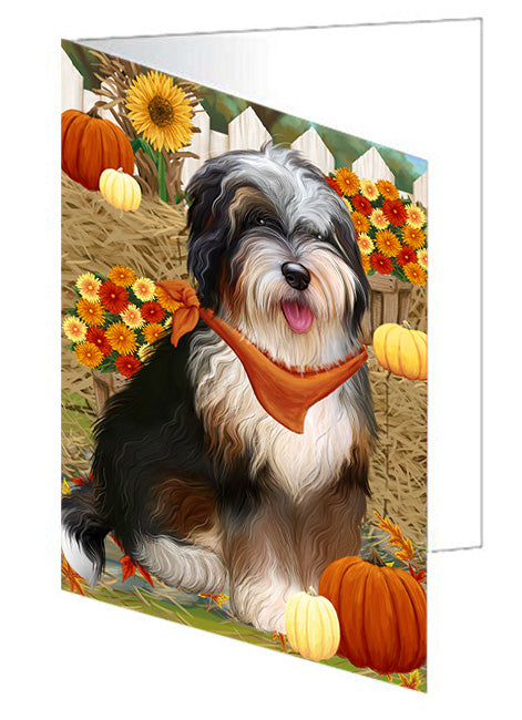 Fall Autumn Greeting Bernedoodle Dog with Pumpkins Handmade Artwork Assorted Pets Greeting Cards and Note Cards with Envelopes for All Occasions and Holiday Seasons GCD56474