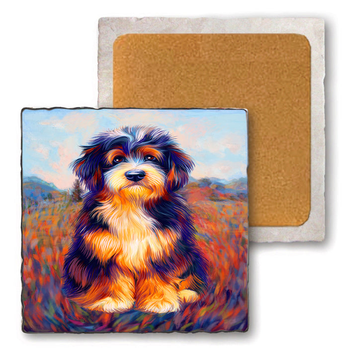 Mystic Blaze Bernedoodle Dog Set of 4 Natural Stone Marble Tile Coasters MCST48574