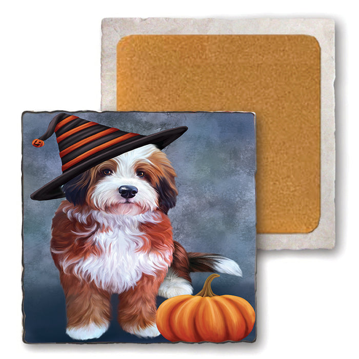 Happy Halloween Bernedoodle Dog Wearing Witch Hat with Pumpkin Set of 4 Natural Stone Marble Tile Coasters MCST49864