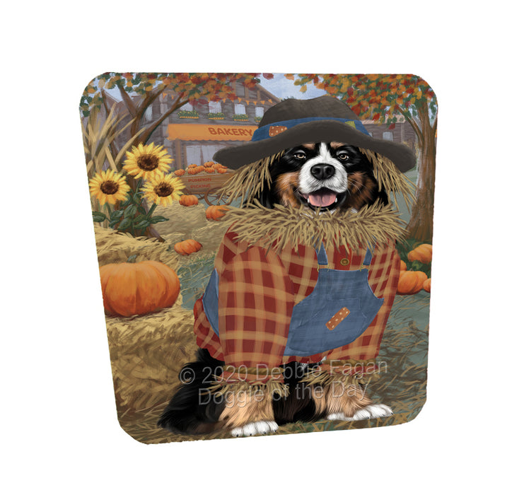 Halloween 'Round Town Bernese Mountain Dogs Coasters Set of 4 CSTA57838