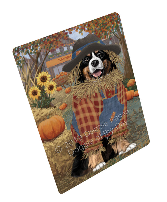 Halloween 'Round Town And Fall Pumpkin Scarecrow Both Bernese Mountain Dogs Cutting Board C77230
