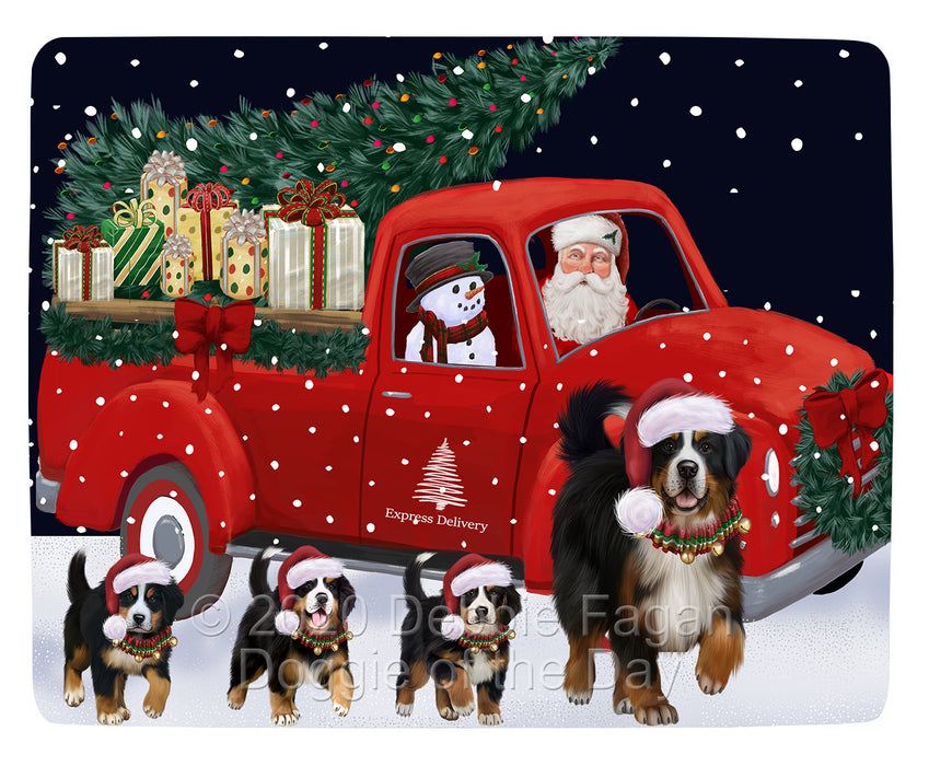 Christmas Express Delivery Red Truck Running Bernese Mountain Dogs Blanket BLNKT141703