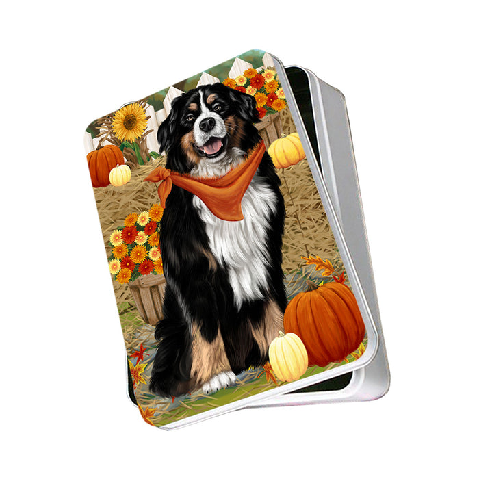 Fall Autumn Greeting Bernese Mountain Dog with Pumpkins Photo Storage Tin PITN50685