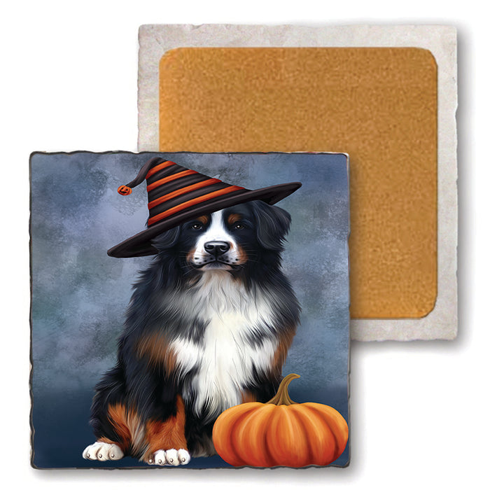 Happy Halloween Bernese Mountain Dog Wearing Witch Hat with Pumpkin Set of 4 Natural Stone Marble Tile Coasters MCST49932