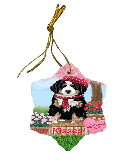 Rosie 25 Cent Kisses Bernese Mountain Dog Star Porcelain Ornament SPOR56179