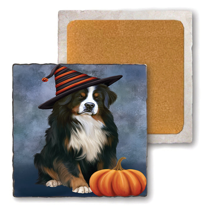 Happy Halloween Bernese Mountain Dog Wearing Witch Hat with Pumpkin Set of 4 Natural Stone Marble Tile Coasters MCST49933