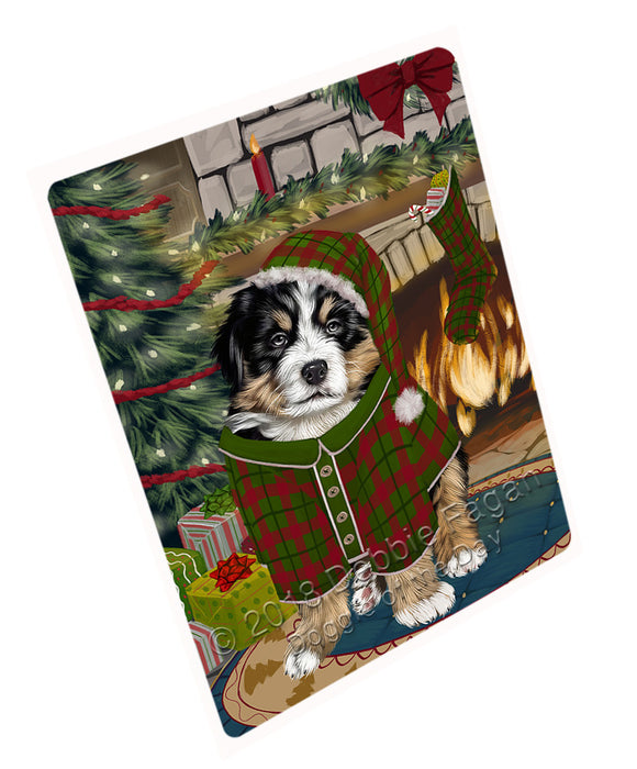 The Stocking was Hung Bernese Mountain Dog Large Refrigerator / Dishwasher Magnet RMAG93522
