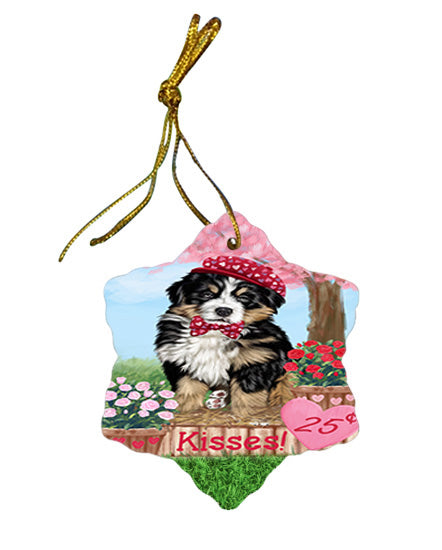 Rosie 25 Cent Kisses Bernese Mountain Dog Star Porcelain Ornament SPOR56180