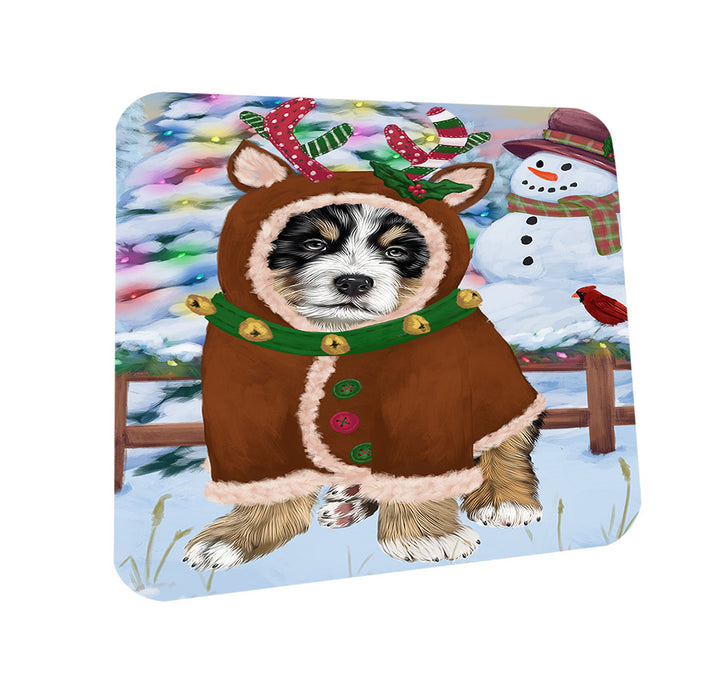 Christmas Gingerbread House Candyfest Bernese Mountain Dog Coasters Set of 4 CST56139