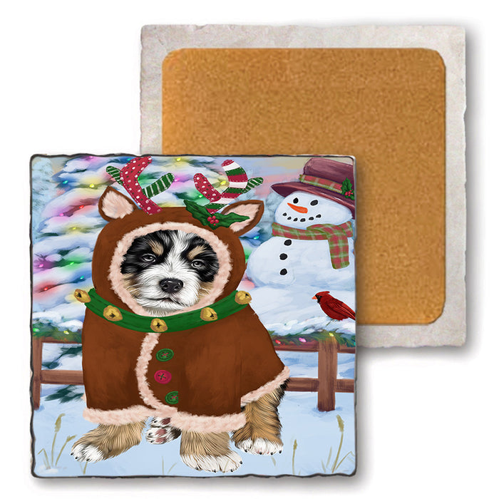 Christmas Gingerbread House Candyfest Bernese Mountain Dog Set of 4 Natural Stone Marble Tile Coasters MCST51181