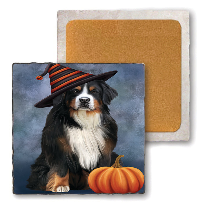 Happy Halloween Bernese Mountain Dog Wearing Witch Hat with Pumpkin Set of 4 Natural Stone Marble Tile Coasters MCST49934