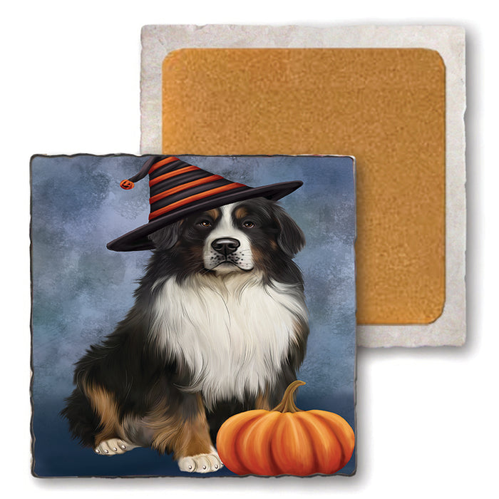 Happy Halloween Bernese Mountain Dog Wearing Witch Hat with Pumpkin Set of 4 Natural Stone Marble Tile Coasters MCST49935