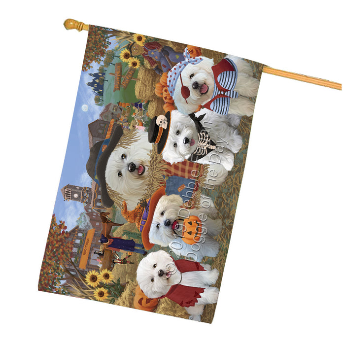 Halloween 'Round Town And Fall Pumpkin Scarecrow Both Bichon Frise Dogs House Flag FLG65629
