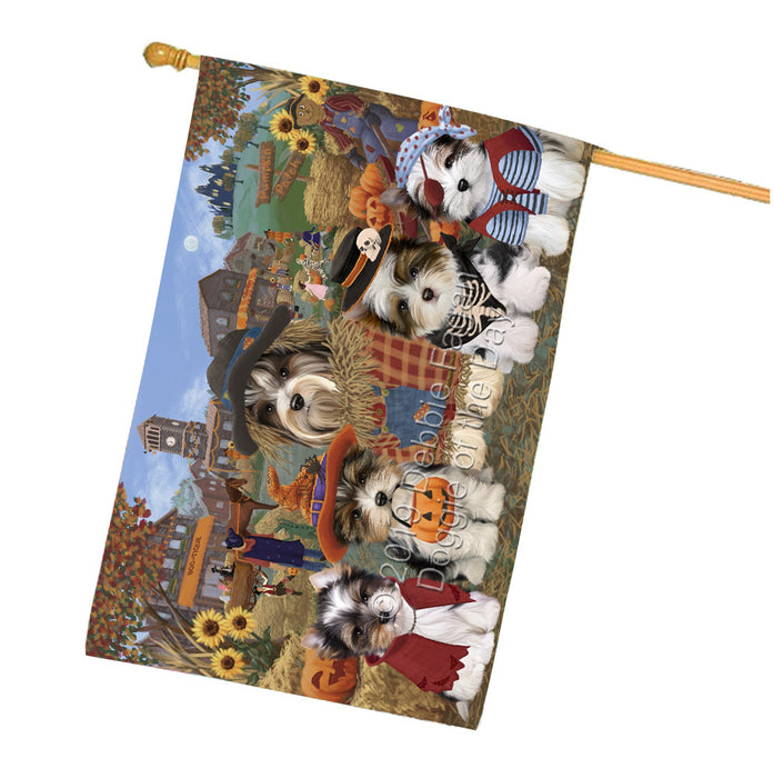 Halloween 'Round Town And Fall Pumpkin Scarecrow Both Biewer Dogs House Flag FLG65630