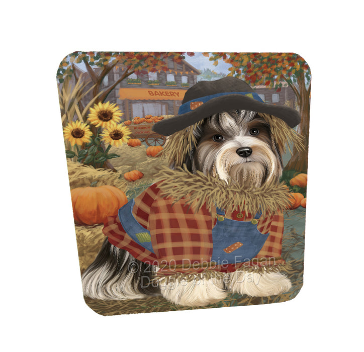 Halloween 'Round Town Biewer Dogs Coasters Set of 4 CSTA57840