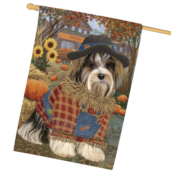 Halloween 'Round Town And Fall Pumpkin Scarecrow Both Biewer Dogs House Flag FLG65691