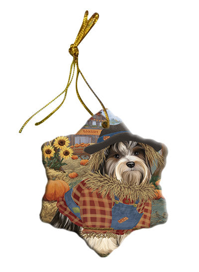 Fall Pumpkin Scarecrow Biewer Dogs Star Porcelain Ornament SPOR57535