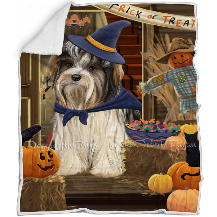 Enter at Own Risk Trick or Treat Halloween Biewer Terrier Dog Blanket BLNKT94422