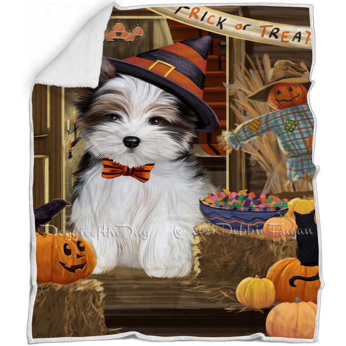 Enter at Own Risk Trick or Treat Halloween Biewer Terrier Dog Blanket BLNKT94458