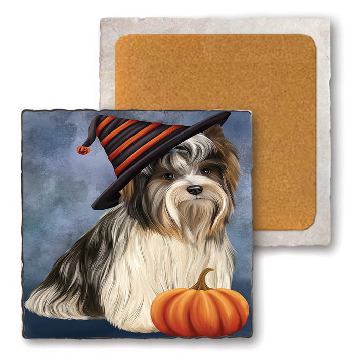Happy Halloween Biewer Terrier Dog Wearing Witch Hat with Pumpkin Set of 4 Natural Stone Marble Tile Coasters MCST49716