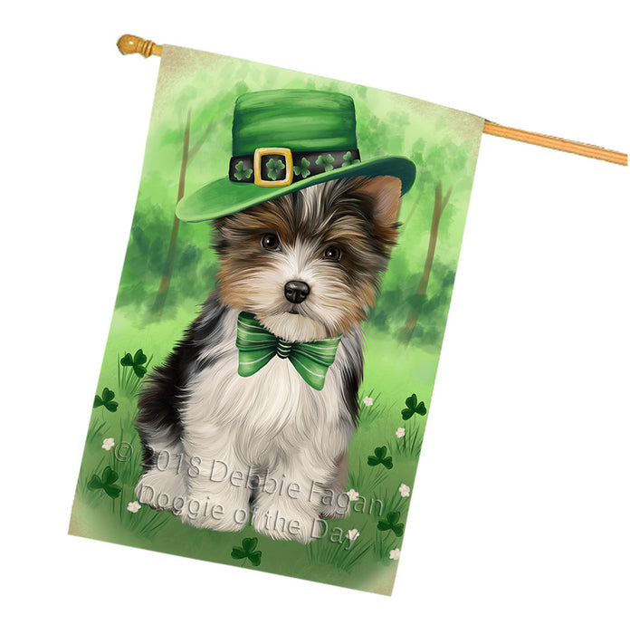 St. Patricks Day Irish Portrait Biewer Terrier Dog House Flag FLG65008