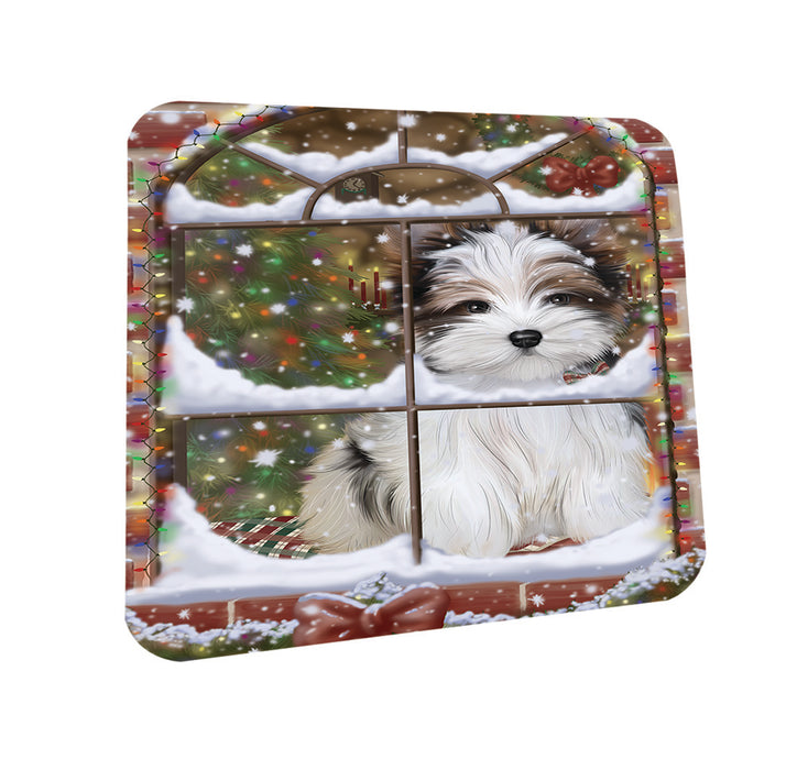 Please Come Home For Christmas Biewer Terrier Dog Sitting In Window Coasters Set of 4 CST53575