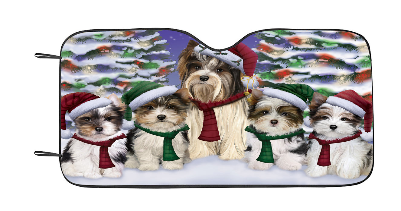 Biewer Terrier Dogs Christmas Family Portrait in Holiday Scenic Background Car Sun Shade