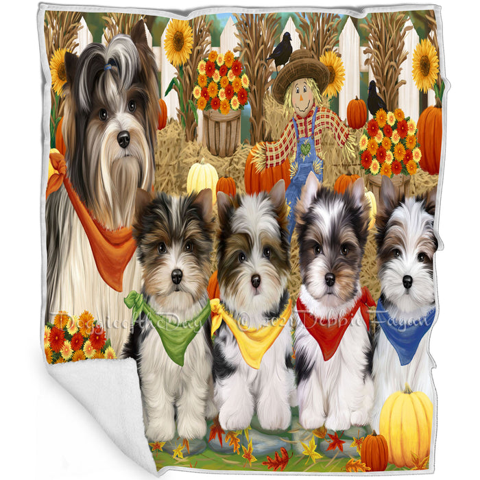 Fall Festive Gathering Biewer Dogs with Pumpkins Blanket BLNKT142401