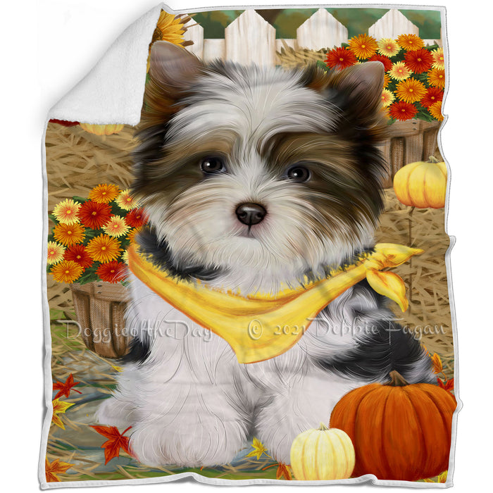 Fall Autumn Greeting Biewer Terrier Dog with Pumpkins Blanket BLNKT87069