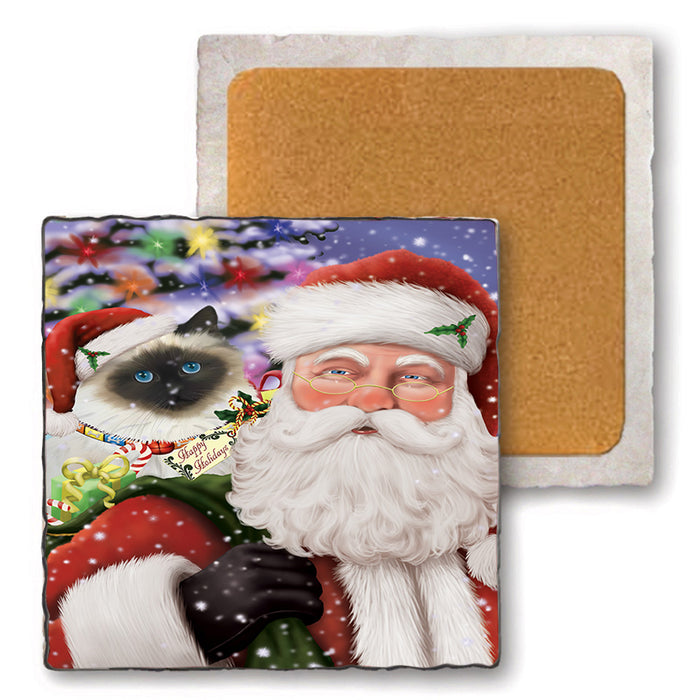 Santa Carrying Birman Cat and Christmas Presents Set of 4 Natural Stone Marble Tile Coasters MCST50488