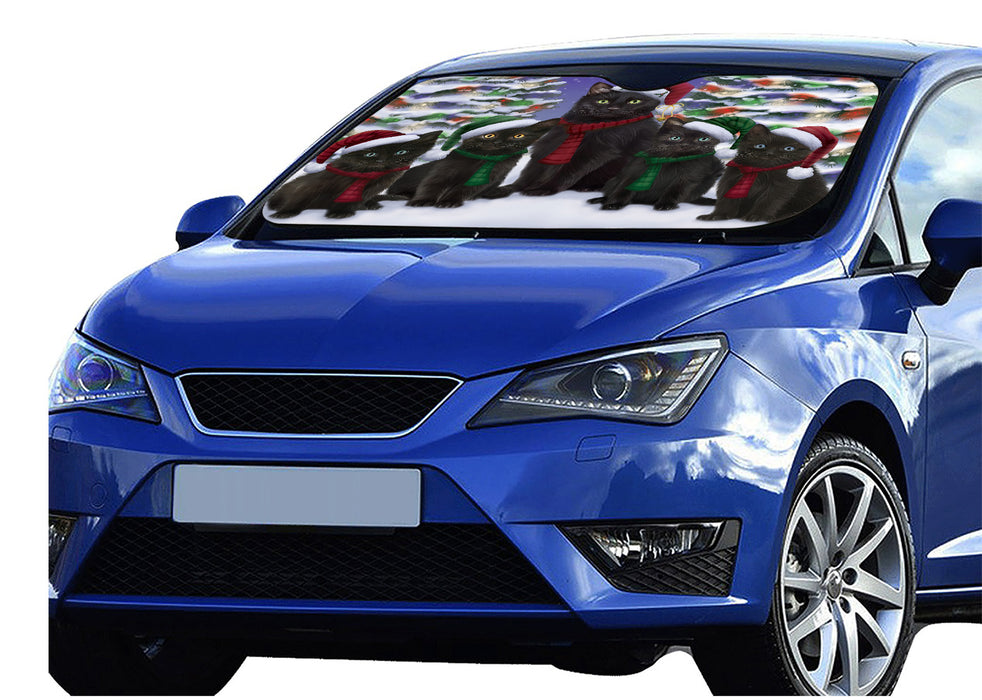 Black Cats Christmas Family Portrait in Holiday Scenic Background Car Sun Shade