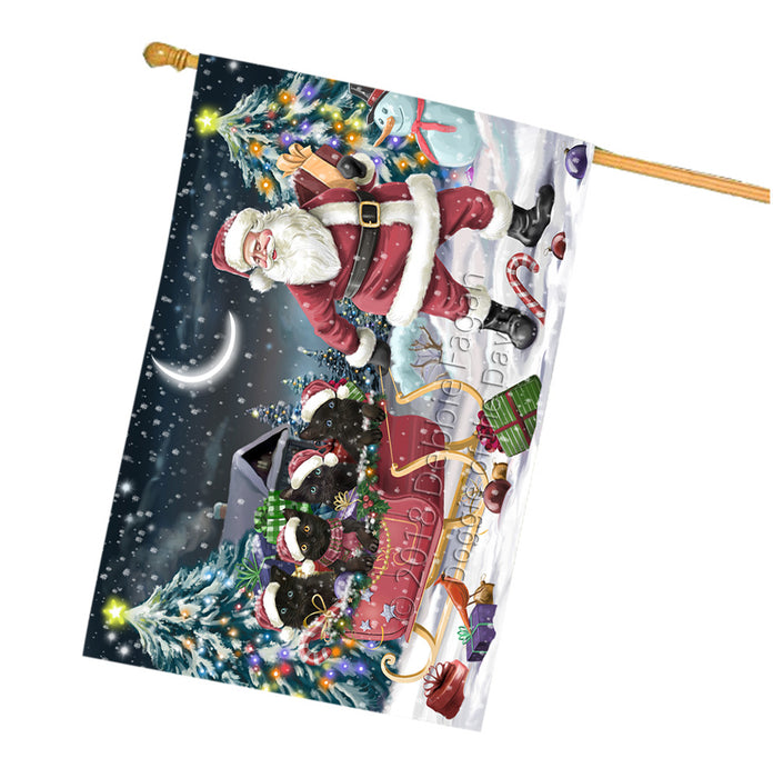 Santa Sled Dogs Christmas Happy Holidays Black Cats House Flag FLG51848