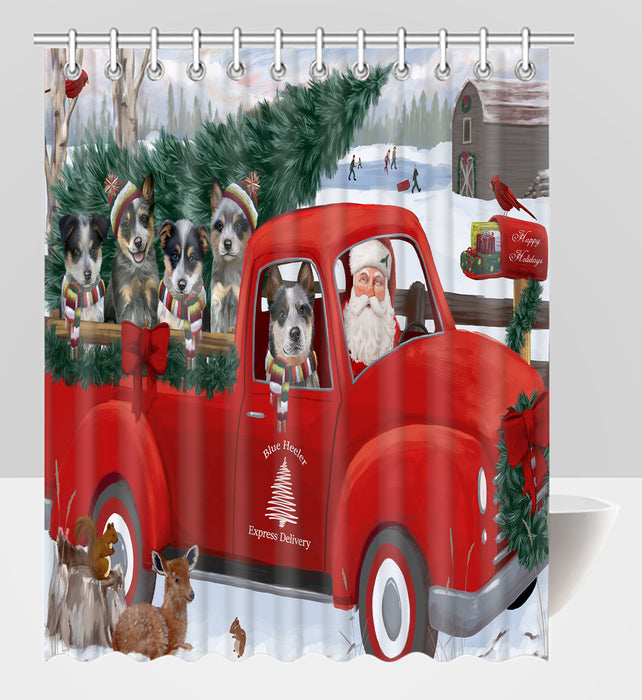 Christmas Santa Express Delivery Red Truck Blue Heeler Dogs Shower Curtain