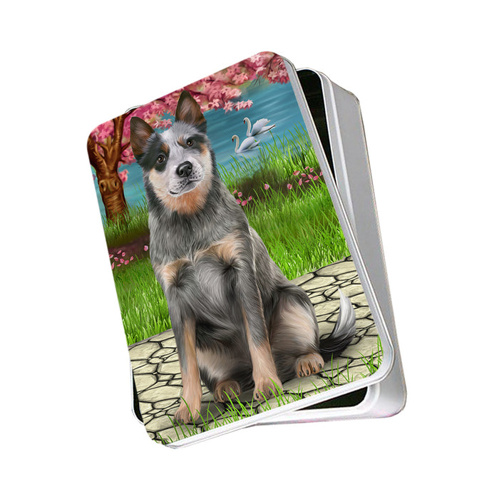 Blue Heeler Dog Photo Storage Tin PITN51747