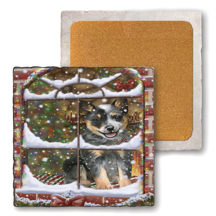 Please Come Home For Christmas Blue Heeler Dog Sitting In Window Set of 4 Natural Stone Marble Tile Coasters MCST48619