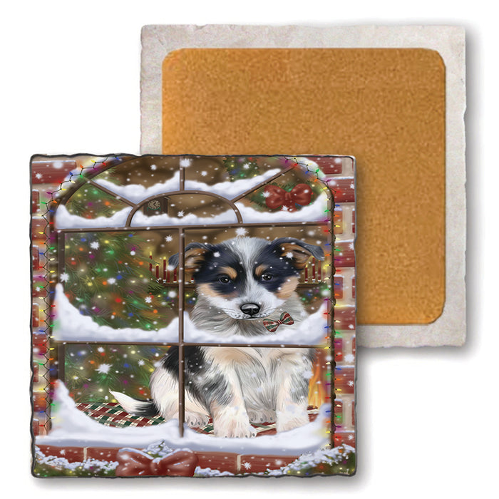 Please Come Home For Christmas Blue Heeler Dog Sitting In Window Set of 4 Natural Stone Marble Tile Coasters MCST48620