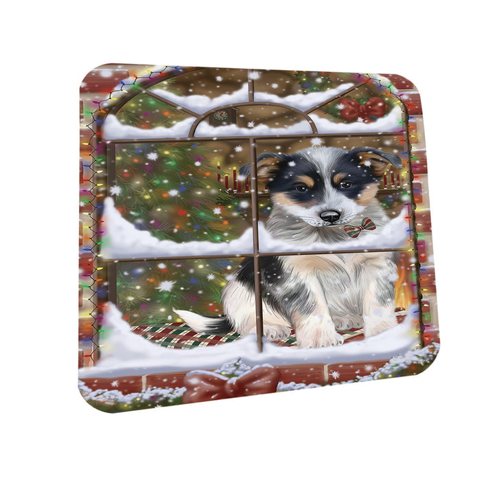 Please Come Home For Christmas Blue Heeler Dog Sitting In Window Coasters Set of 4 CST53578