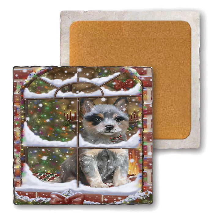 Please Come Home For Christmas Blue Heeler Dog Sitting In Window Set of 4 Natural Stone Marble Tile Coasters MCST48621