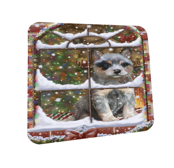 Please Come Home For Christmas Blue Heeler Dog Sitting In Window Coasters Set of 4 CST53579
