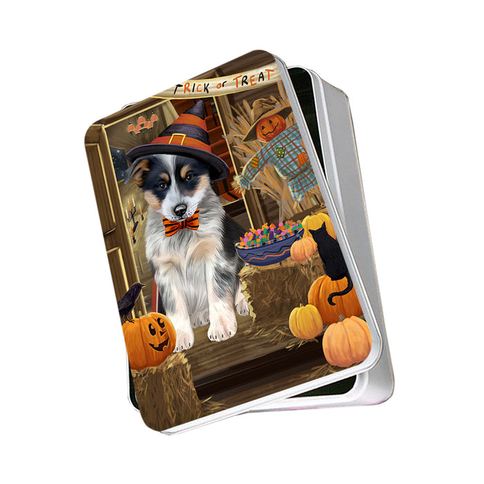 Enter at Own Risk Trick or Treat Halloween Blue Heeler Dog Photo Storage Tin PITN53023