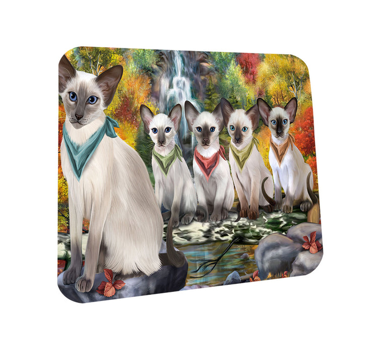 Scenic Waterfall Blue Point Siamese Cats Coasters Set of 4 CST54622